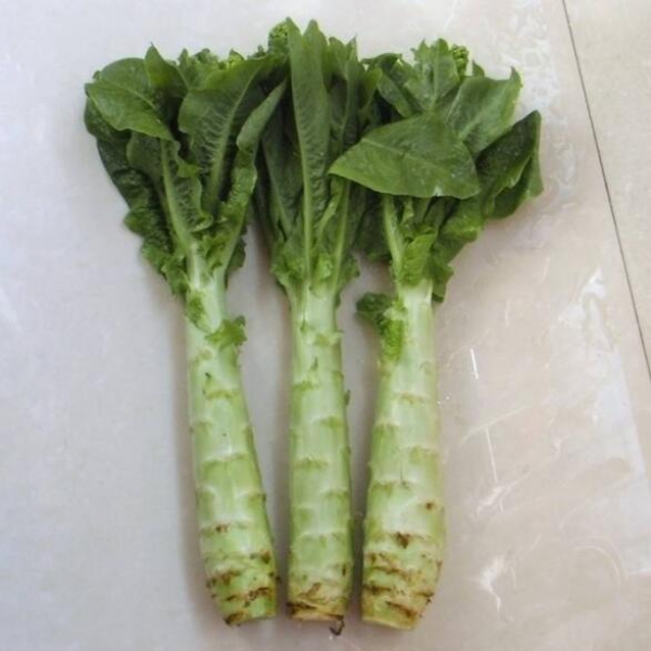 萵筍