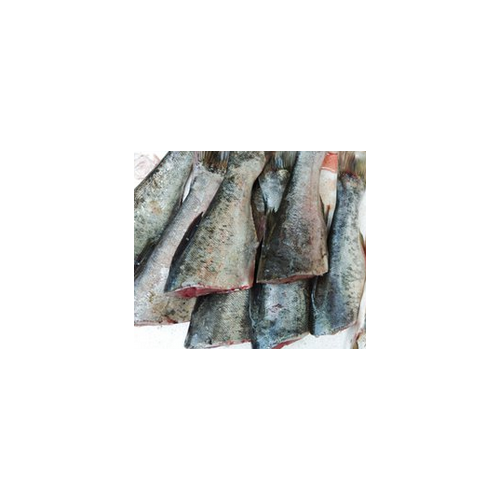大魚尾